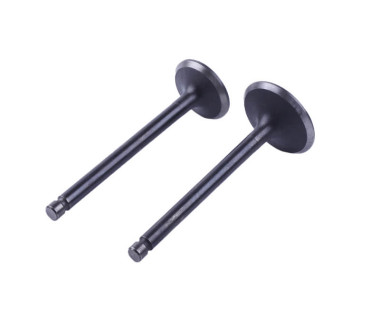 Клапани, к-т: 2 шт. - 186F Y-BOX