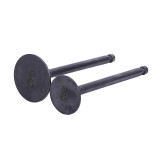 Клапани, к-т: 2 шт. - 186F - TTG