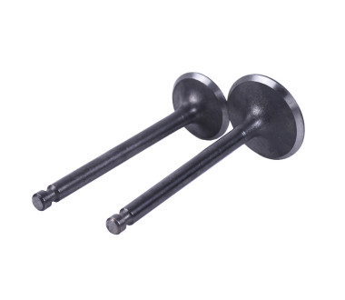 Клапани, к-т: 2 шт. - 186F - TTG