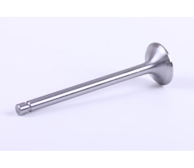 Клапан впускний 4L22BT