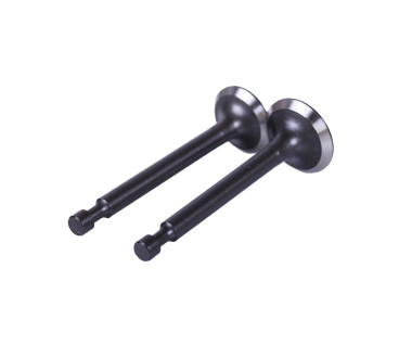 Клапани, к-т 2 шт. - P65F (ZS)