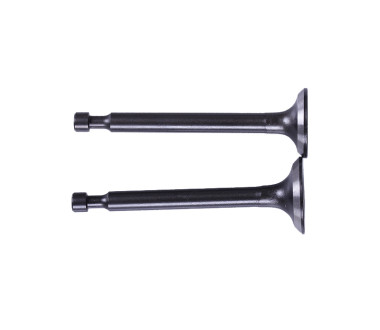 Клапани, к-т 2 шт. - P65F (ZS)