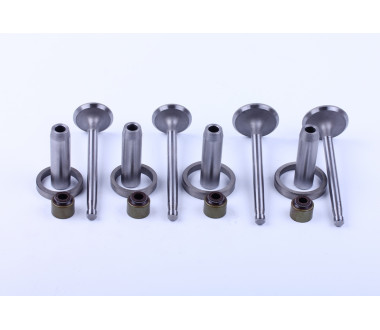 Клапаны, к-т TY295 Xingtai 220/224