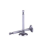 Клапани TT AGRO MOTO на бензиновий двигун 156F, к-т: 2 шт.