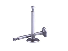 Клапани TT AGRO MOTO на бензиновий двигун 156F, к-т: 2 шт.