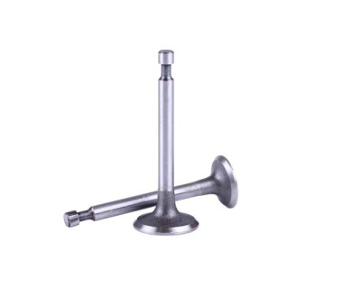 Клапани TT AGRO MOTO на бензиновий двигун 156F, к-т: 2 шт.