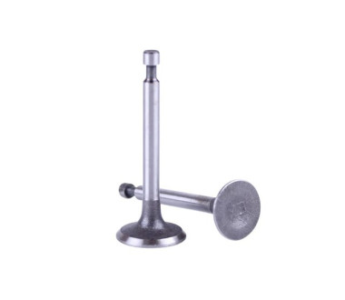 Клапани TT AGRO MOTO на бензиновий двигун 156F, к-т: 2 шт.