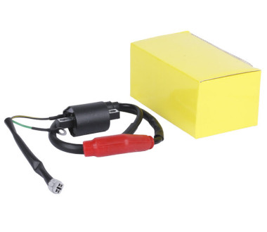 Катушка зажигания СV 300 YBX