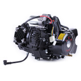 Двигун 110CC - Дельта/Альфа/Актив, механіка + електростартер + карбюратор, BLACK - TATA LUX