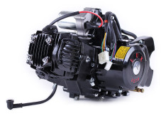 Двигун 110CC - Дельта/Альфа/Актив, механіка + електростартер + карбюратор, BLACK - TATA LUX