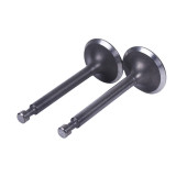 Клапаны TTG на бензиновый двигатель 168F, к-т: 2 шт.