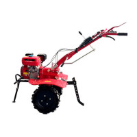 Мотоблок TΛTΛ TT-ZX100-1 (редуктор) на бензиновый двигатель 170F (7 л.с.), безвоздушное колесо 4,00*8