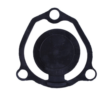 Зворотний клапан на мотопомпу під подовжений фланець (тип 2) - V50