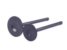 Клапана CG300