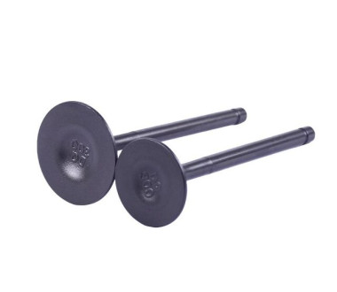 Клапана CG300