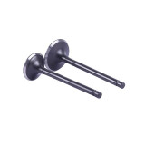 Клапана CG300