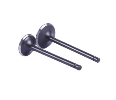 Клапана CG300