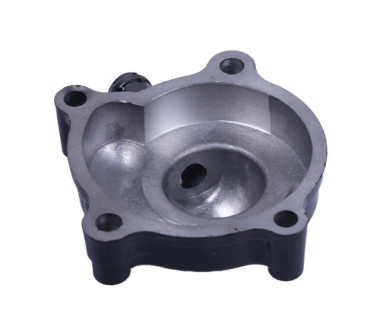 Кришка помпи CG300