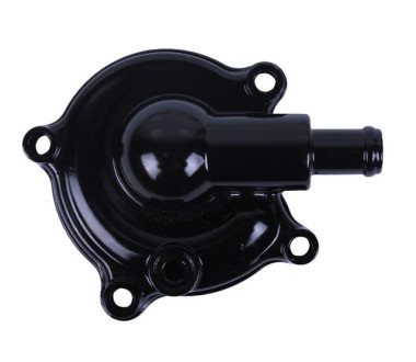 Кришка помпи CG300