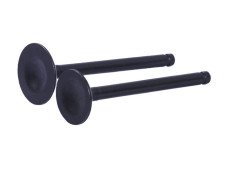 Клапани діаметр 20/23 мм, к-т: 2 шт.- Дельта/Альфа YBX