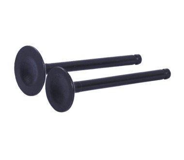 Клапани діаметр 20/23 мм, к-т: 2 шт.- Дельта/Альфа YBX