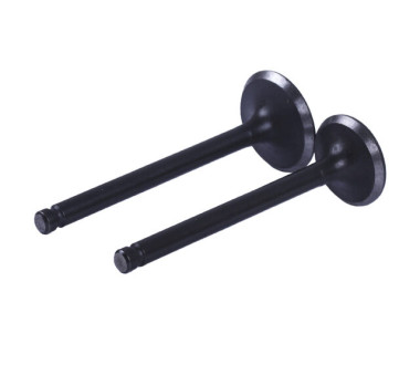 Клапани діаметр 20/23 мм, к-т: 2 шт.- Дельта/Альфа YBX