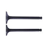 Клапани діаметр 20/23 мм, к-т: 2 шт.- Дельта/Альфа YBX