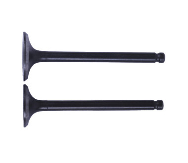 Клапани діаметр 20/23 мм, к-т: 2 шт.- Дельта/Альфа YBX