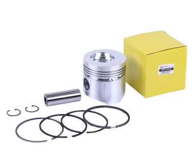 Поршневой комплект 95,00 мм STD: 9 единиц - GZ - 195N YBX