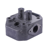 Головка циліндра у зборі (ZUBR original) - 195N - TTG