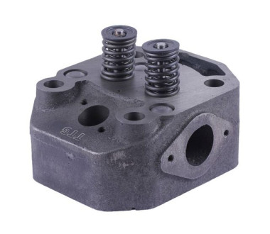 Головка циліндра у зборі (ZUBR original) - 195N - TTG