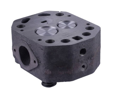 Головка циліндра у зборі (ZUBR original) - 195N - TTG