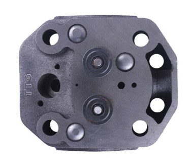 Головка циліндра у зборі (ZUBR original) - 195N - TTG