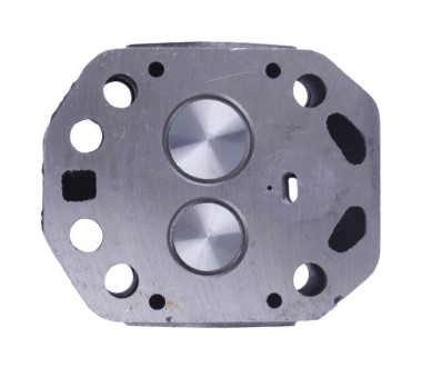 Головка циліндра у зборі (ZUBR original) - 195N - TTG