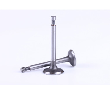 Клапани, к-т: 2 шт. - 156F