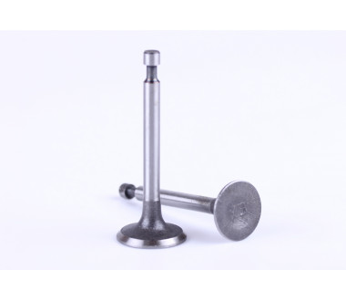 Клапани, к-т: 2 шт. - 156F
