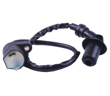 Катушка зажигания + надсвечник - 4T