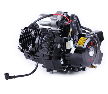 Двигун 110CC - Дельта/Альфа/Актив, механіка + електростартер + карбюратор, BLACK - TATA LUX