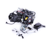 Двигун 110CC - Дельта/Альфа/Актив, механіка + електростартер + карбюратор, BLACK - TATA LUX