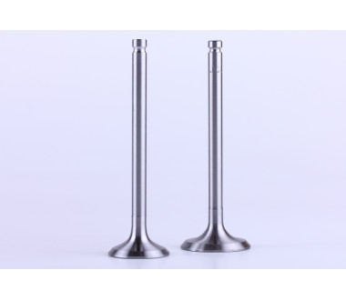 Клапани, к-т: 2 шт. - 190N - Premium