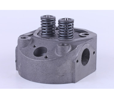 Головка циліндра у зборі - 190N - Premium