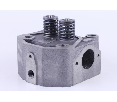 Головка циліндра у зборі - 190N - Premium