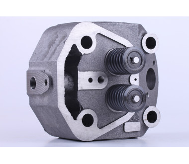 Головка циліндра у зборі - 190N - Premium