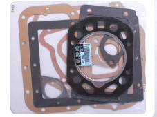 Прокладка двигуна, повний к-т: 12 шт. - ZUBR - 195N Y-BOX