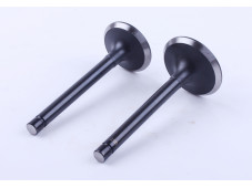 Клапани, к-т: 2 шт. - GZ - 195N