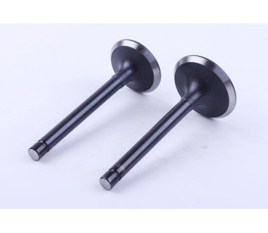 Клапани, к-т: 2 шт. - GZ - 195N