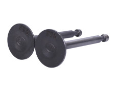 Клапани, к-т: 2 шт. - 168F - TTG