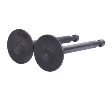 Клапани, к-т: 2 шт. - 168F - TTG