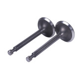 Клапани, к-т: 2 шт. - 168F - TTG