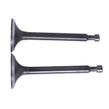 Клапани, к-т: 2 шт. - 168F - TTG